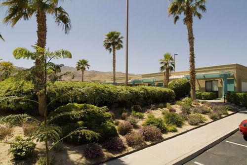 Sure By Western Joshua Tree 3*