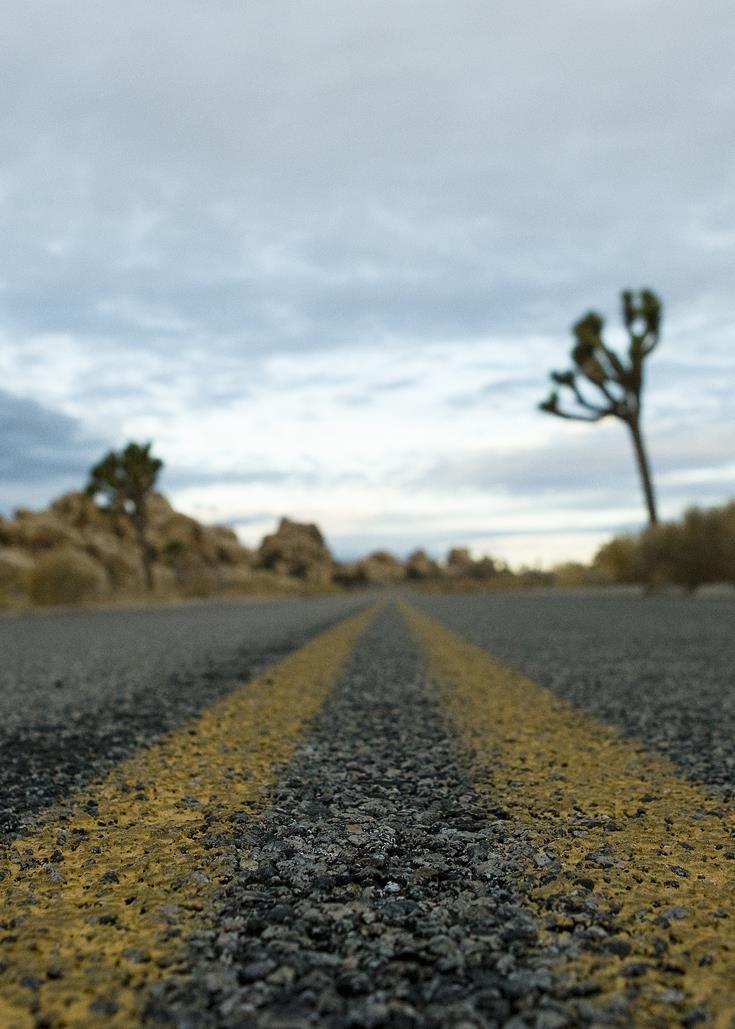 Sure By Western Joshua Tree 3*
